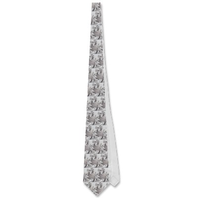 Silver Double Spiral Tie